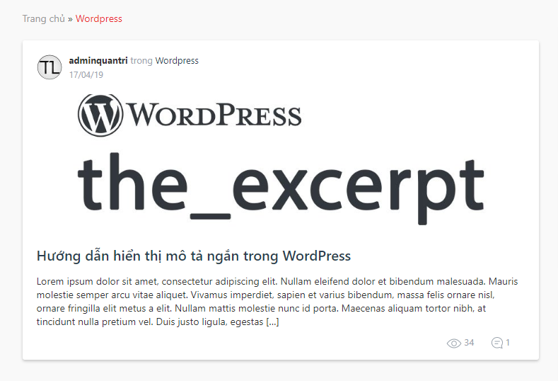 Hiển thị mô tả ngắn trong Wordpress