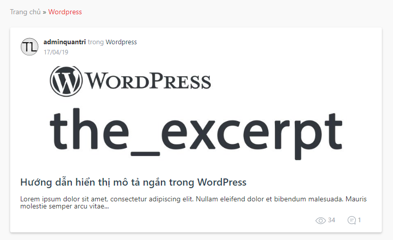 Hiển thị mô tả ngắn trong Wordpress